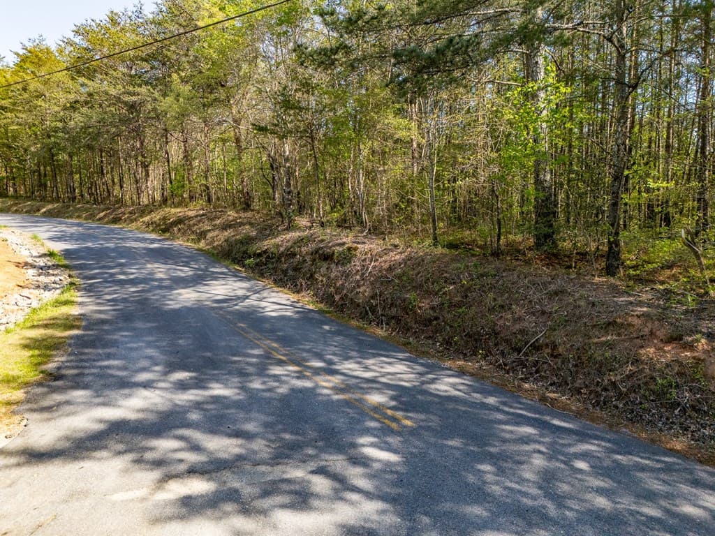 0 Talc Mine Road, Jasper GA 30143 - Photo