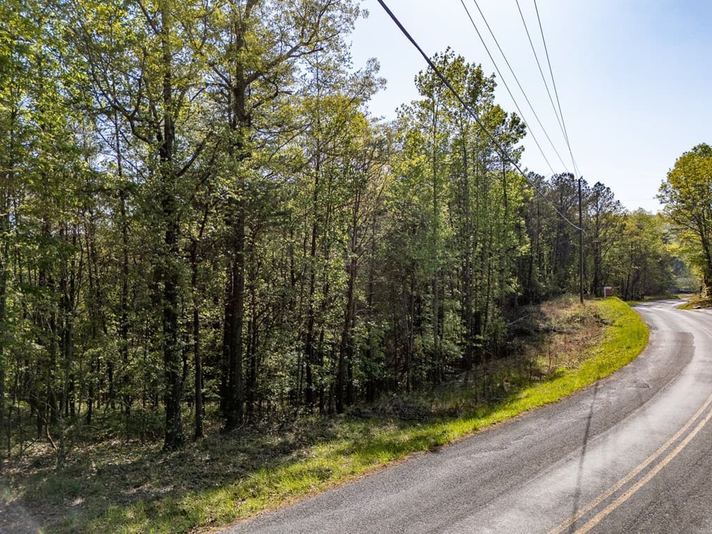 0 Talc Mine Road, Jasper GA 30143 - Photo