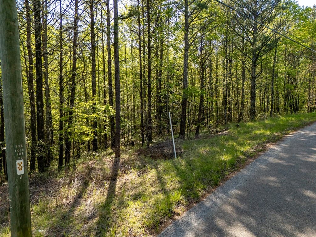 0 Talc Mine Road, Jasper GA 30143 - Photo