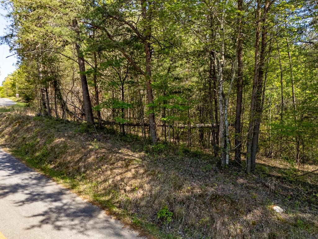 0 Talc Mine Road, Jasper GA 30143 - Photo