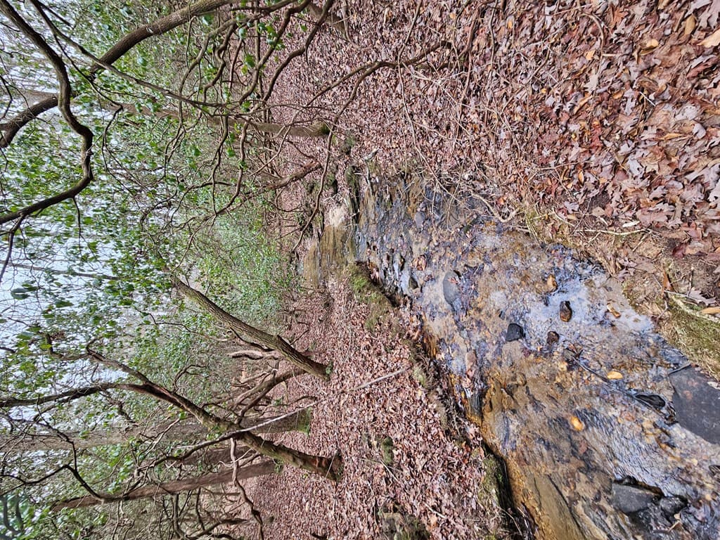 0 Talc Mine Road, Jasper GA 30143 - Photo