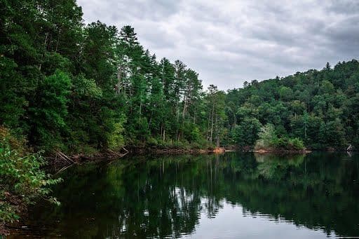 819 Hap Holt Road, Ellijay GA 30540 - Photo
