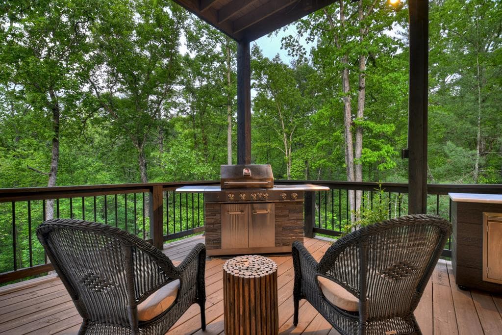 819 Hap Holt Road, Ellijay GA 30540 - Photo