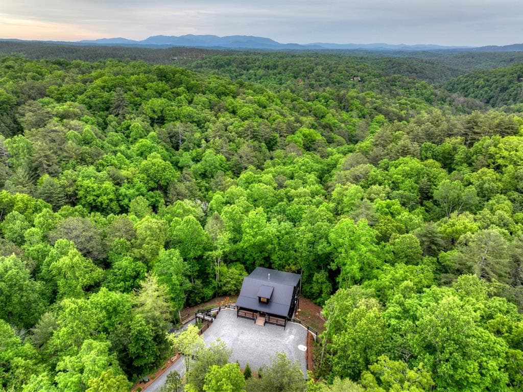 819 Hap Holt Road, Ellijay GA 30540 - Photo
