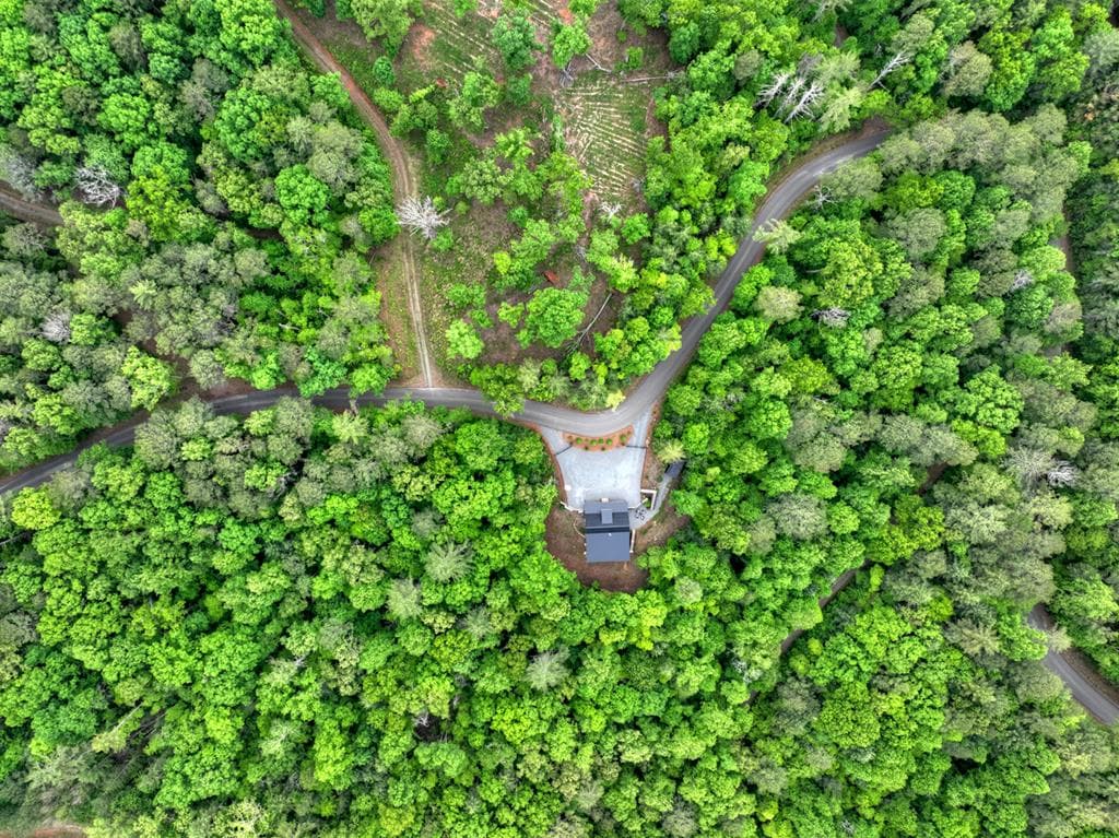 819 Hap Holt Road, Ellijay GA 30540 - Photo