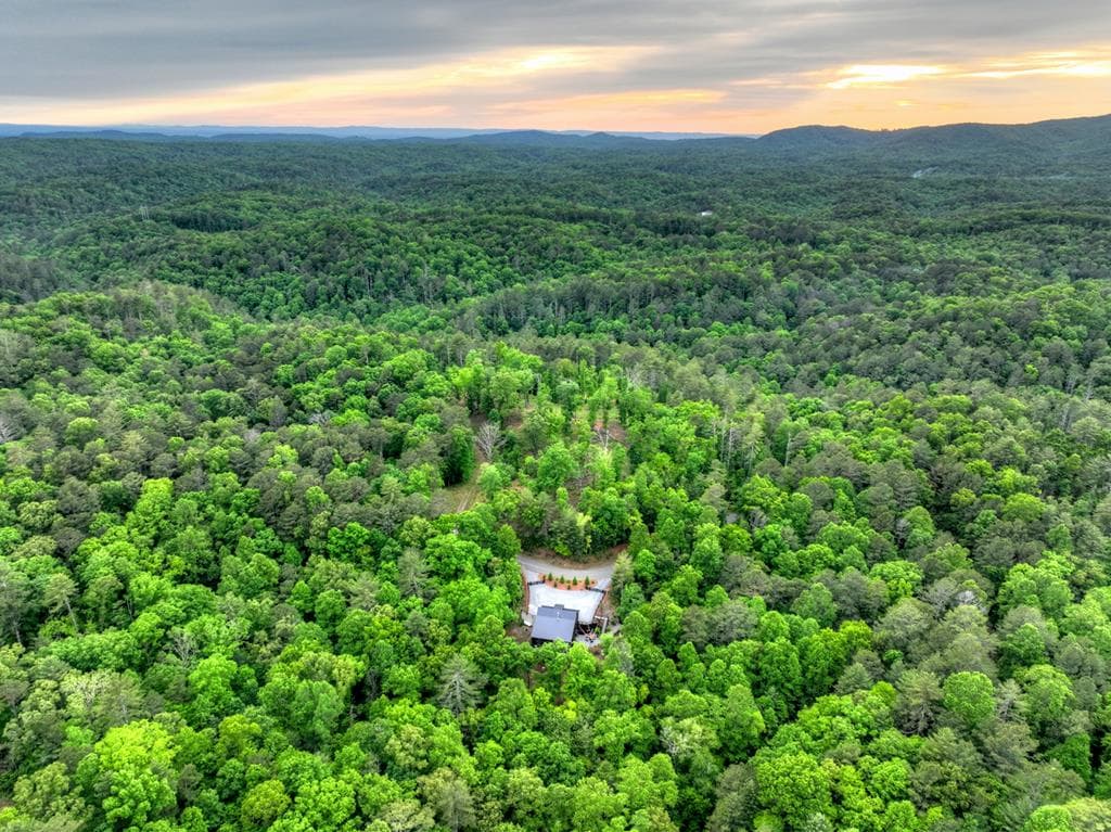 819 Hap Holt Road, Ellijay GA 30540 - Photo