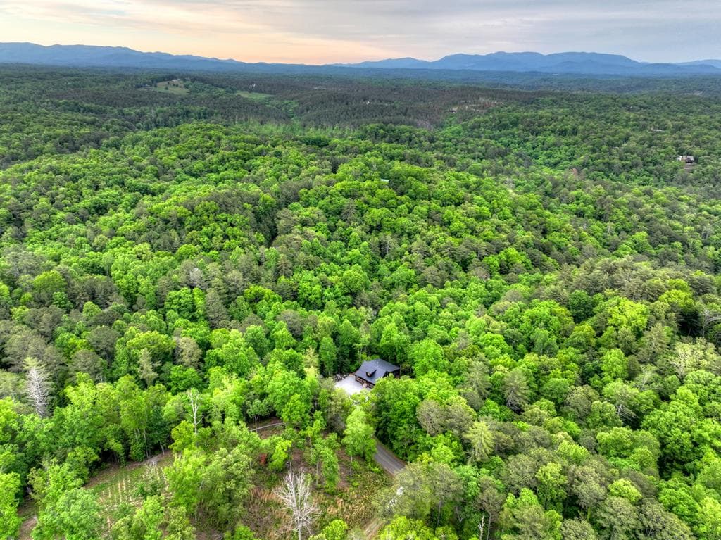819 Hap Holt Road, Ellijay GA 30540 - Photo