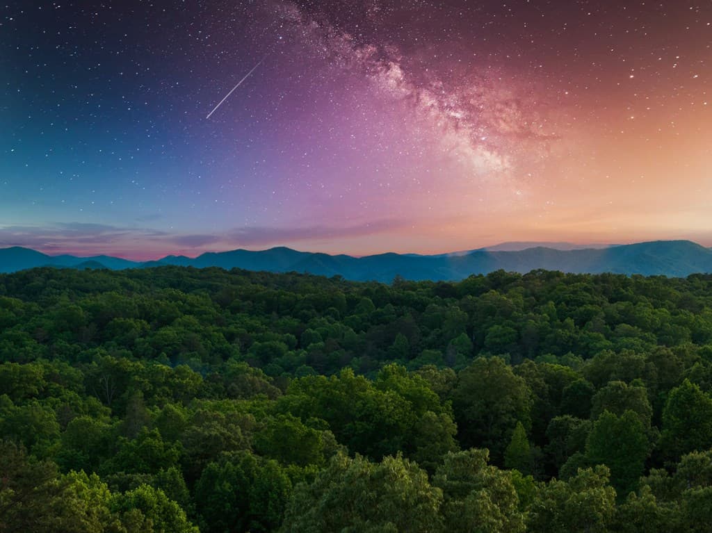 100 Blueberry Road, Blue Ridge GA 30513 - Photo