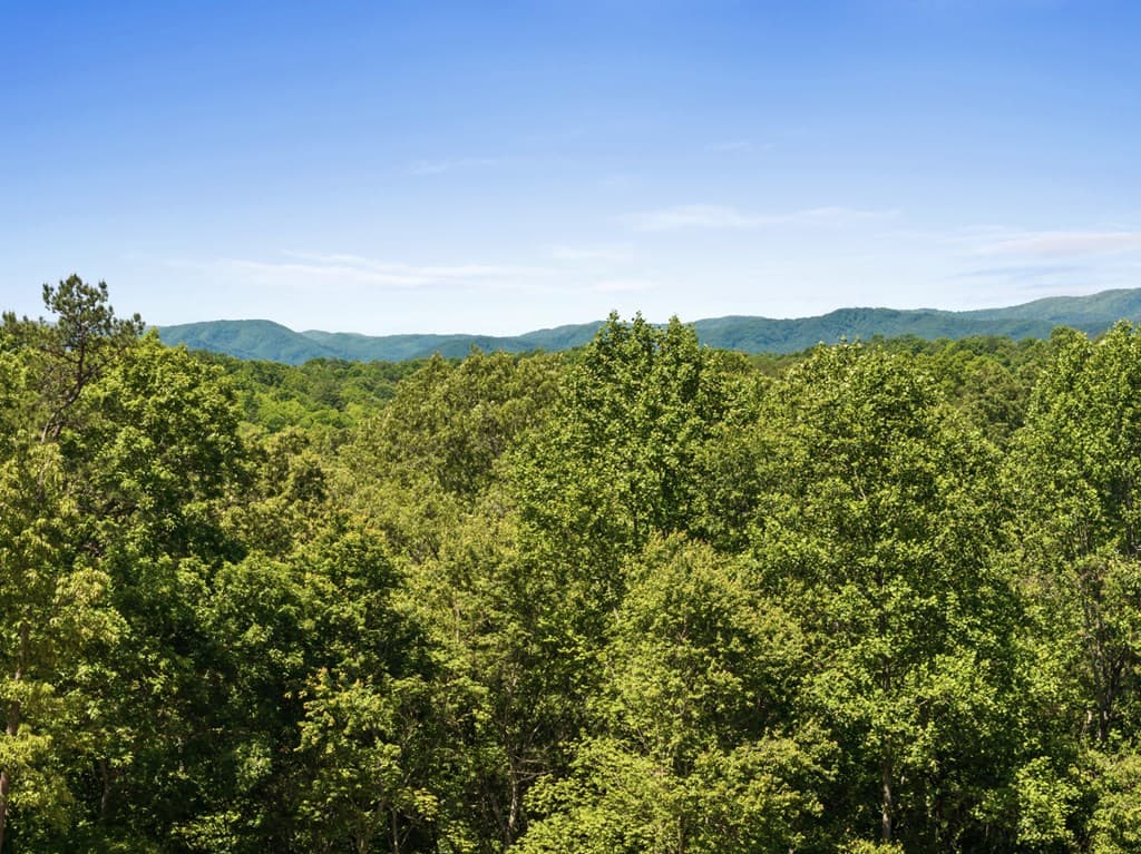 100 Blueberry Road, Blue Ridge GA 30513 - Photo