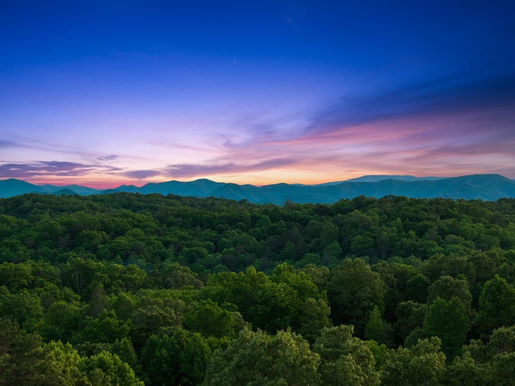 100 Blueberry Road, Blue Ridge GA 30513 - Photo