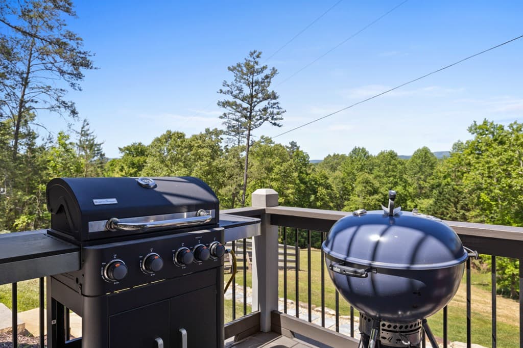 100 Blueberry Road, Blue Ridge GA 30513 - Photo