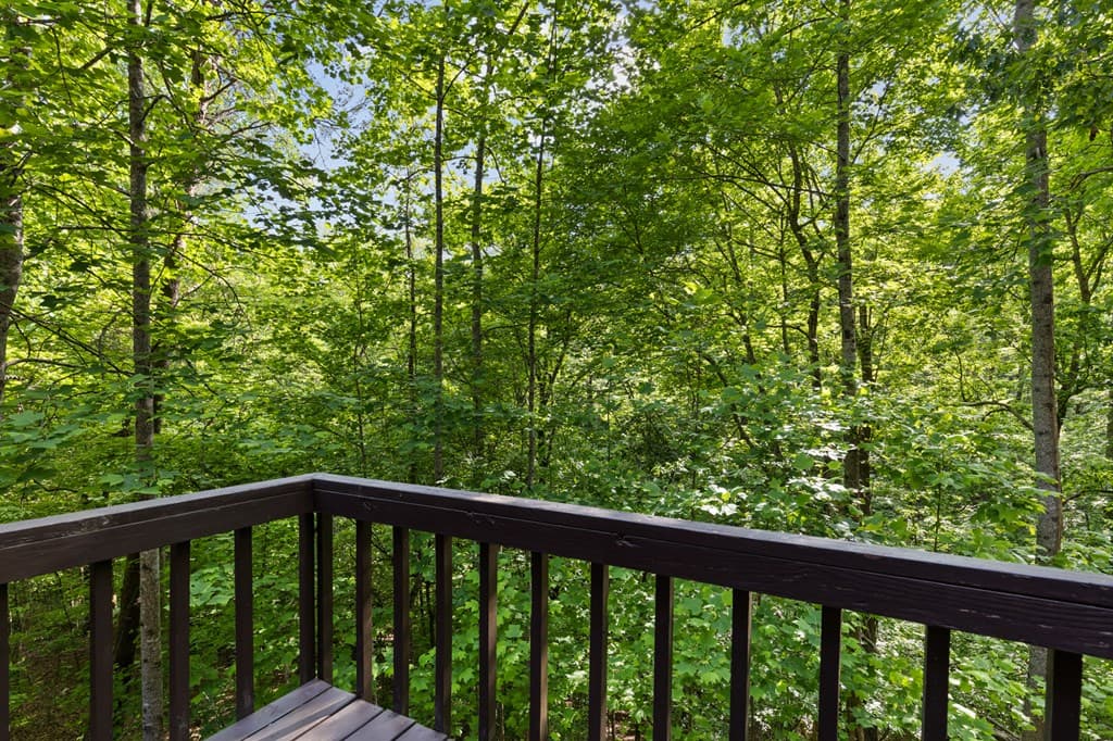 62 Walkabout Creek Road, Morganton GA 30560 - Photo