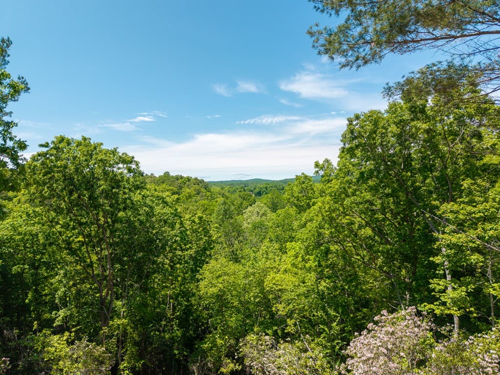 Lot 7 Briar Creek Court, Morganton GA 30560 - Photo