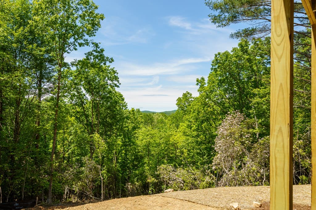 Lot 7 Briar Creek Court, Morganton GA 30560 - Photo