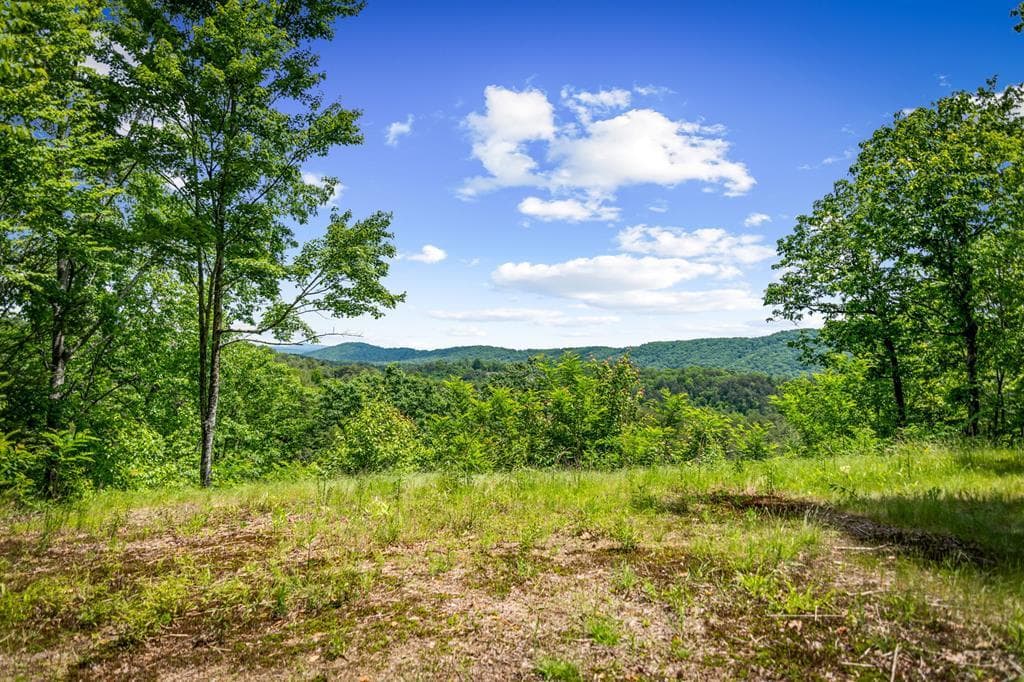Lt 379 Dream Catcher, Blue Ridge GA 30513 - Photo