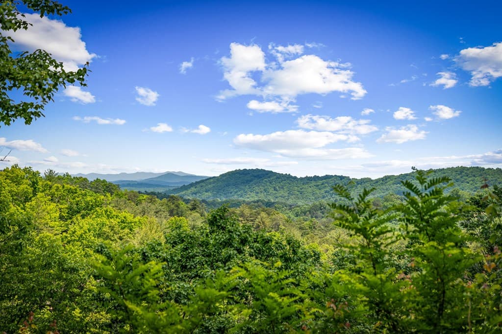 Lt 379 Dream Catcher, Blue Ridge GA 30513 - Photo