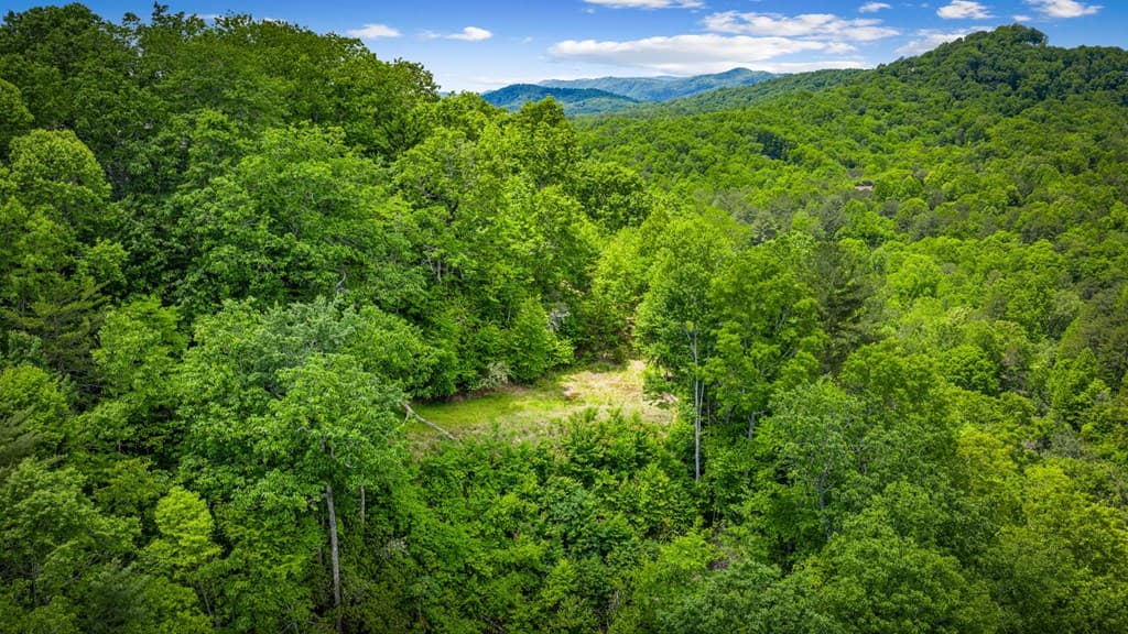 Lt 379 Dream Catcher, Blue Ridge GA 30513 - Photo
