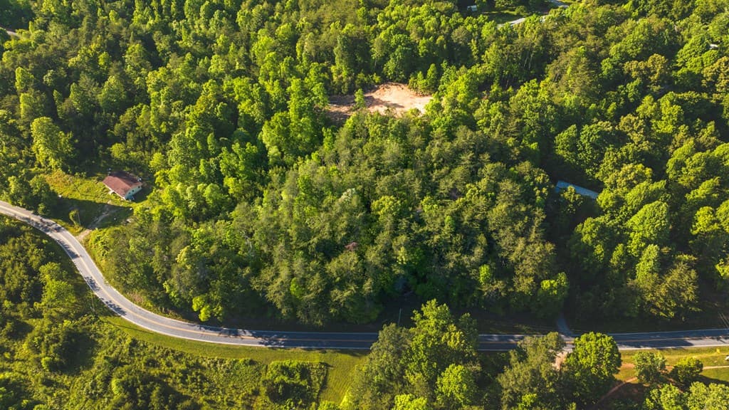 TR 3 W Gum Log Road, Warne NC 28909 - Photo