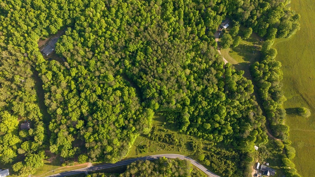 TR 3 W Gum Log Road, Warne NC 28909 - Photo