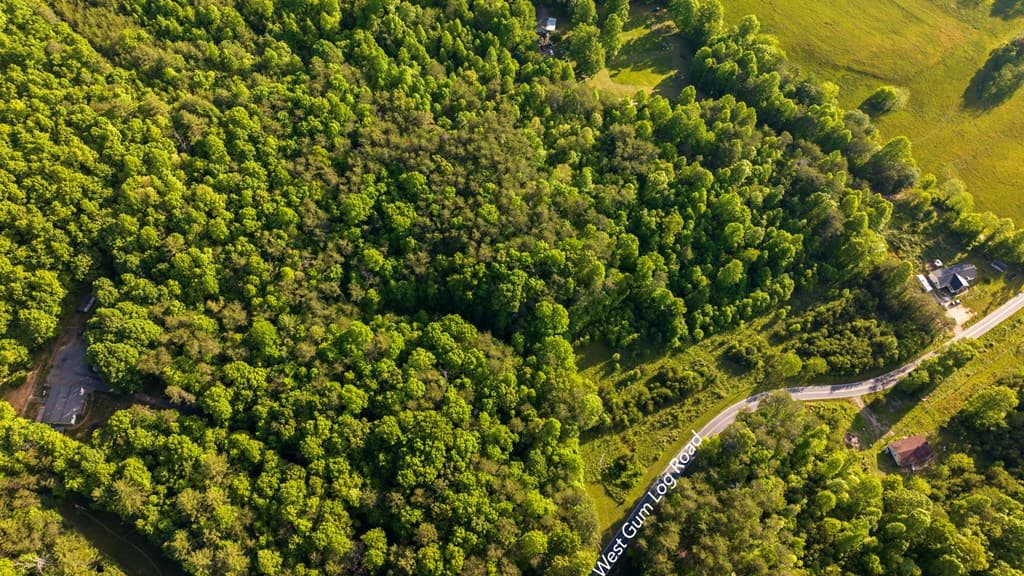 TR 3 W Gum Log Road, Warne NC 28909 - Photo