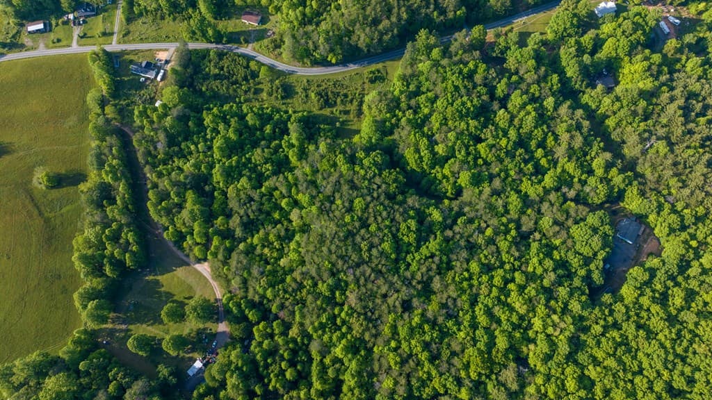 TR 3 W Gum Log Road, Warne NC 28909 - Photo