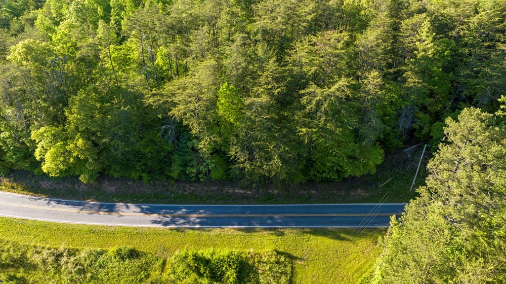 TR 3 W Gum Log Road, Warne NC 28909 - Photo
