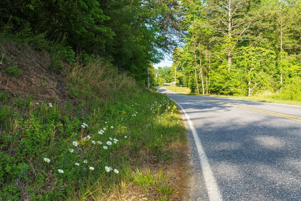 TR 3 W Gum Log Road, Warne NC 28909 - Photo