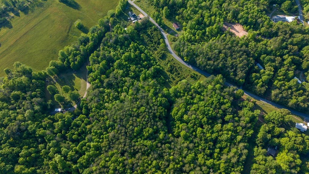 TR 3 W Gum Log Road, Warne NC 28909 - Photo