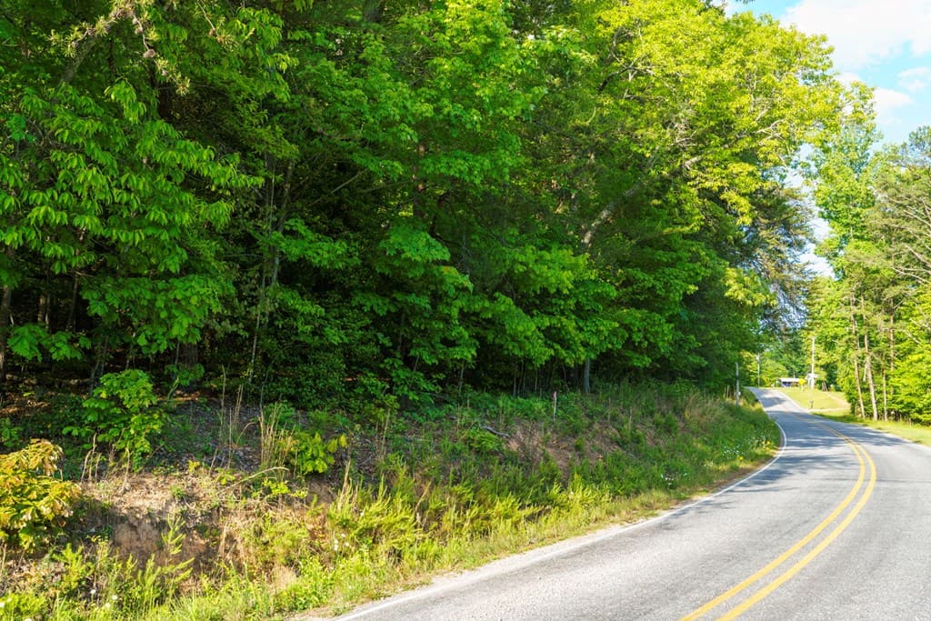 TR 3 W Gum Log Road, Warne NC 28909 - Photo