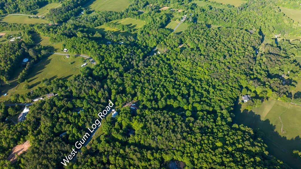 TR 1&2 W Gum Log Road, Warne NC 28909 - Photo