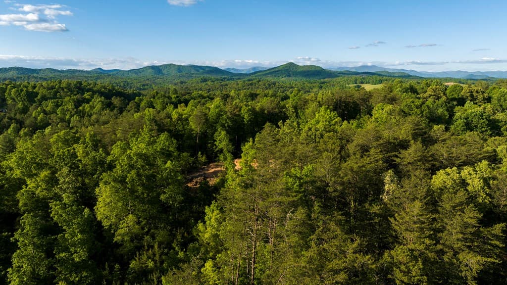 TR 1&2 W Gum Log Road, Warne NC 28909 - Photo