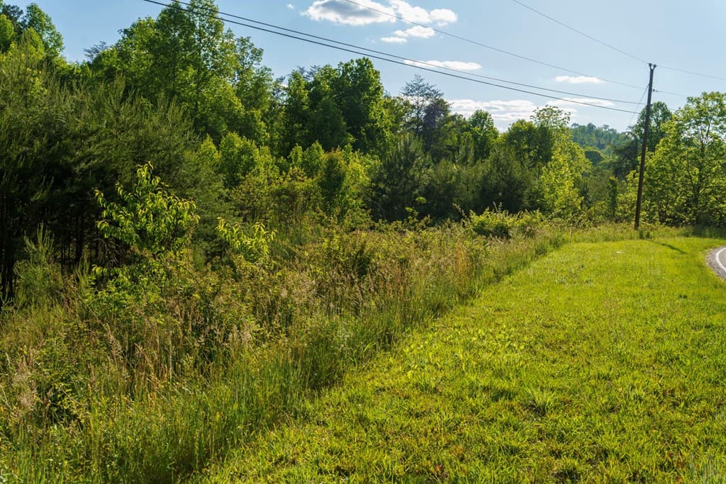 TR 1&2 W Gum Log Road, Warne NC 28909 - Photo