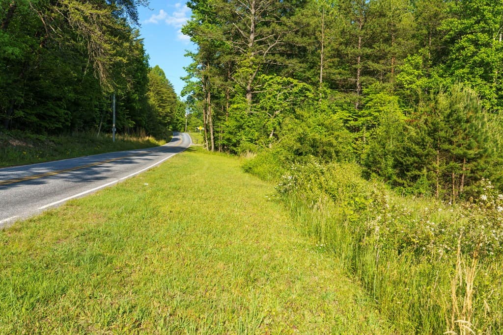 TR 1&2 W Gum Log Road, Warne NC 28909 - Photo