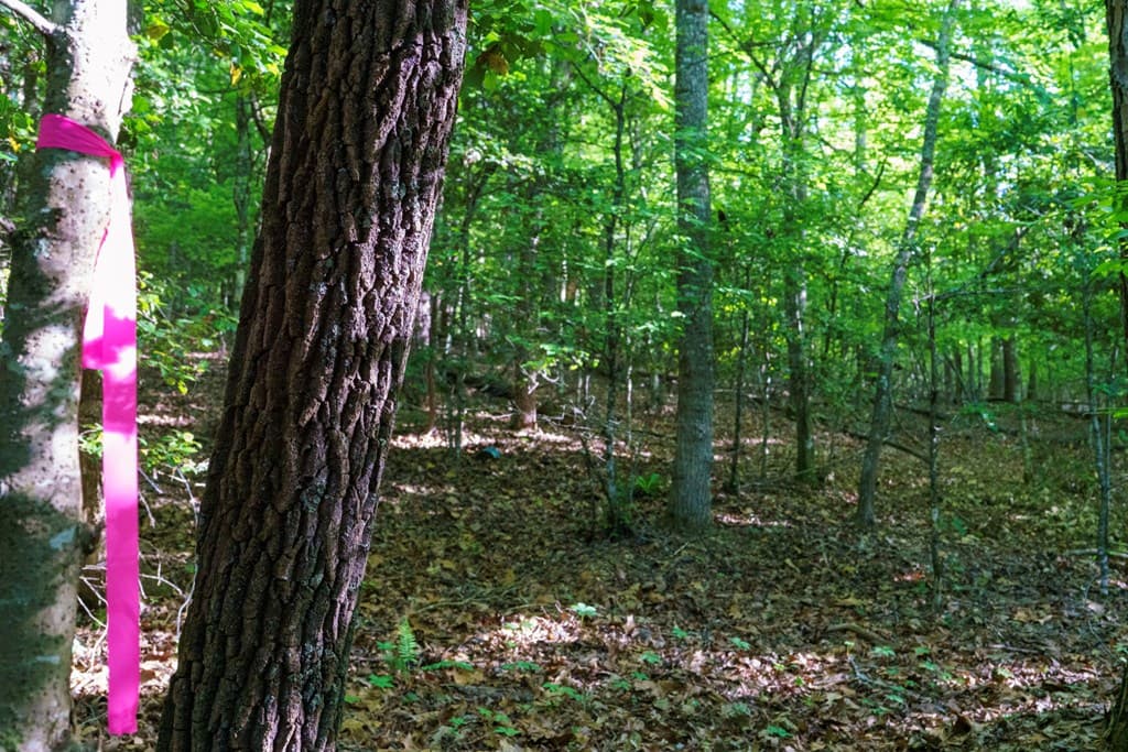 TR 1&2 W Gum Log Road, Warne NC 28909 - Photo