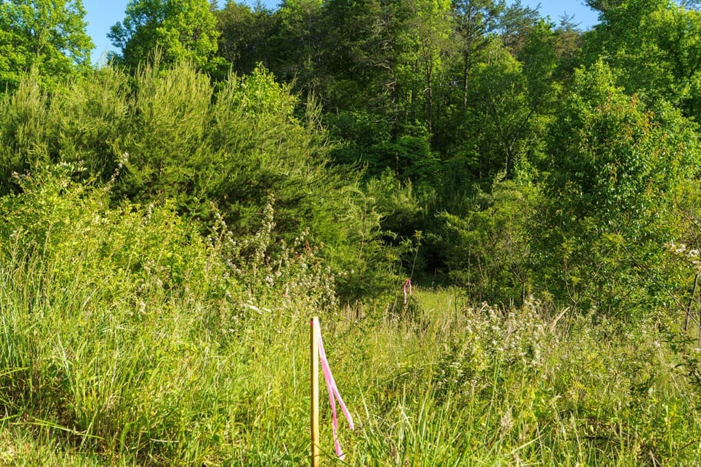 TR 1&2 W Gum Log Road, Warne NC 28909 - Photo