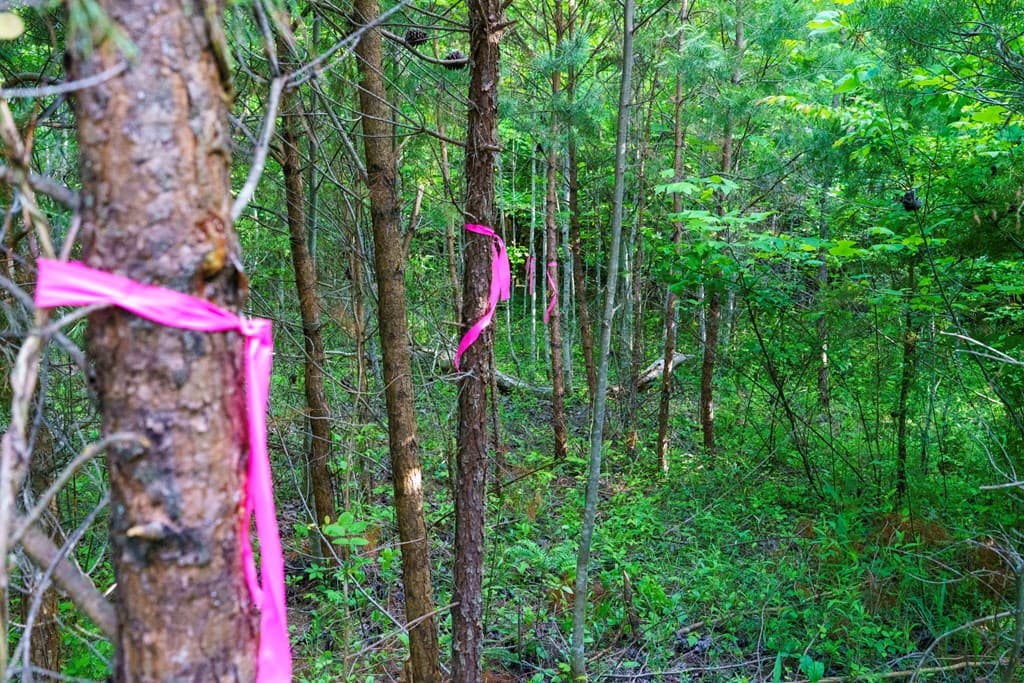 TR 1&2 W Gum Log Road, Warne NC 28909 - Photo
