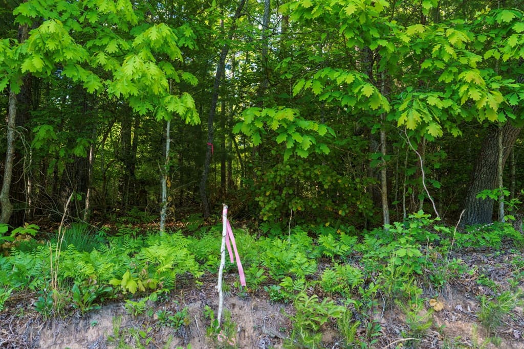 TR 1&2 W Gum Log Road, Warne NC 28909 - Photo
