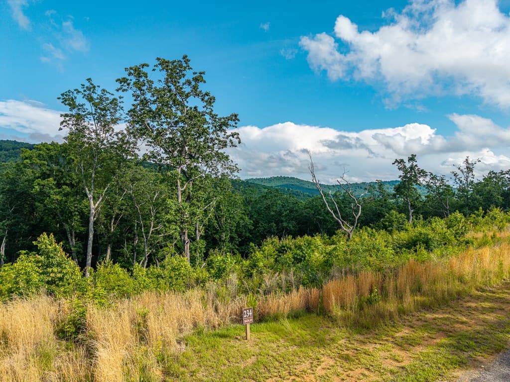234 Highgrove Drive, Talking Rock GA 30175 - Photo