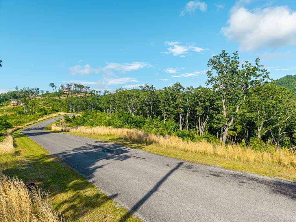 234 Highgrove Drive, Talking Rock GA 30175 - Photo