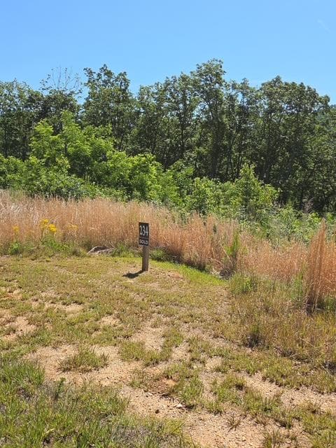 234 Highgrove Drive, Talking Rock GA 30175 - Photo