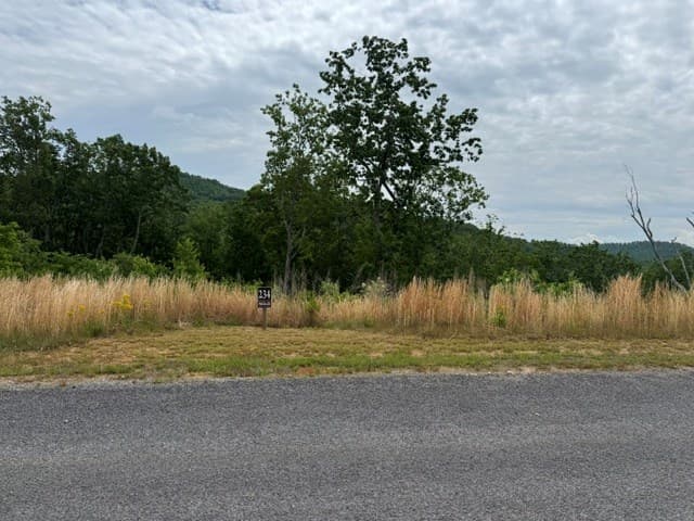 234 Highgrove Drive, Talking Rock GA 30175 - Photo