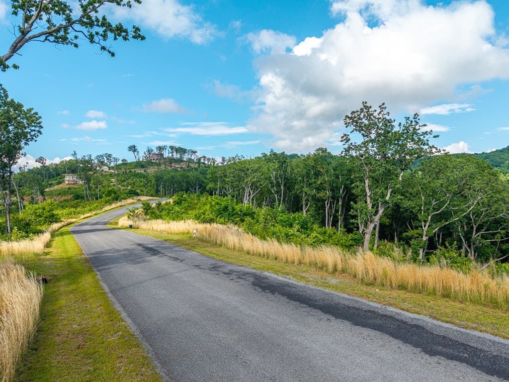 234 Highgrove Drive, Talking Rock GA 30175 - Photo