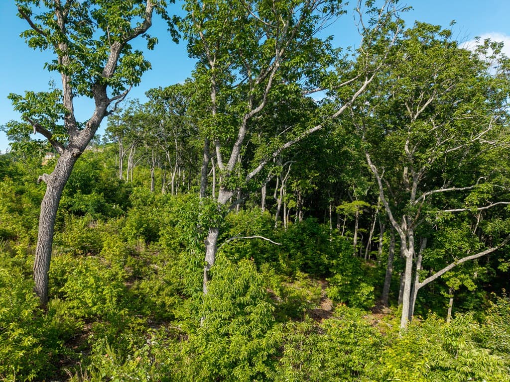 234 Highgrove Drive, Talking Rock GA 30175 - Photo