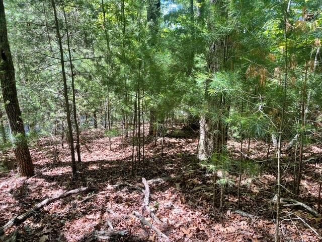 Lot 2 Mount Pleasant Ridge Road, Blairsville GA 30512 - Primary photo