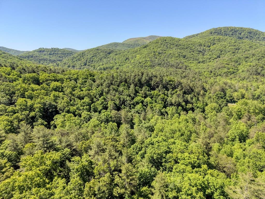 4836 Owltown Road, Blairsville GA 30512 - Photo