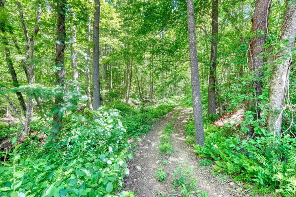 4836 Owltown Road, Blairsville GA 30512 - Photo