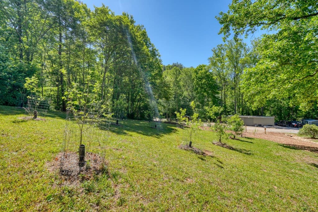 4836 Owltown Road, Blairsville GA 30512 - Photo