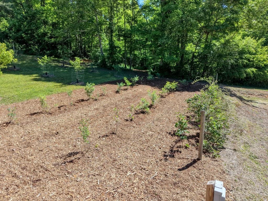 4836 Owltown Road, Blairsville GA 30512 - Photo