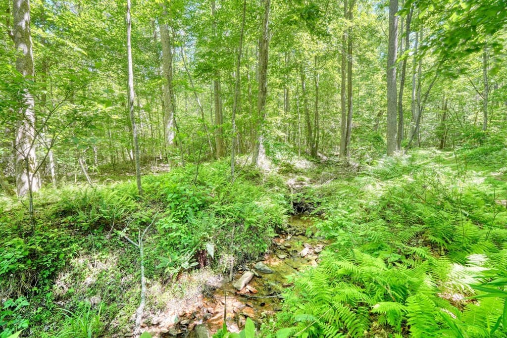 4836 Owltown Road, Blairsville GA 30512 - Photo