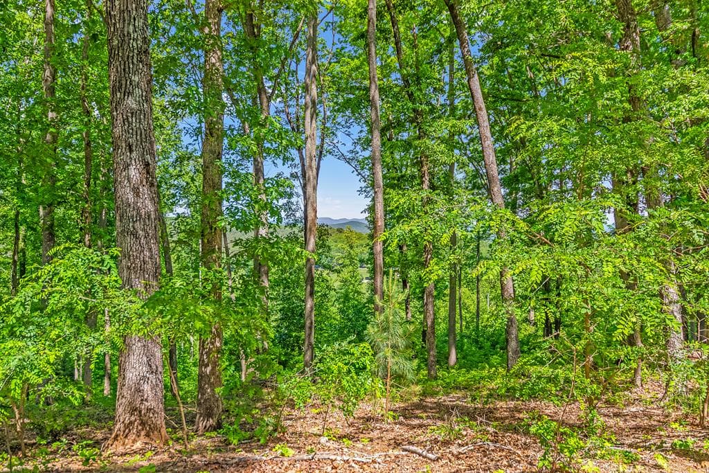 Lot 98 Winding Ridge, Blairsville GA 30512 - Photo
